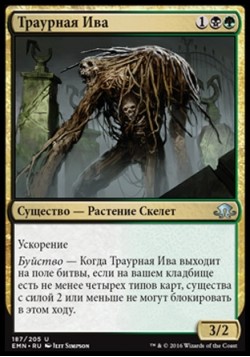 Траурная Ива