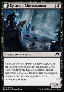 Крысы с Могильника