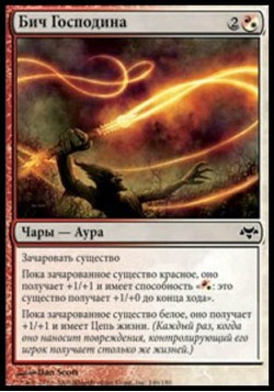 Бич Господина