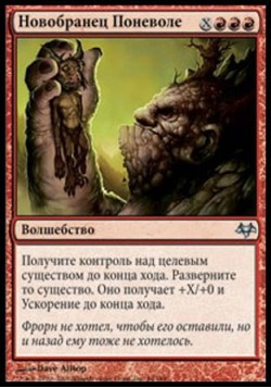 Новобранец Поневоле