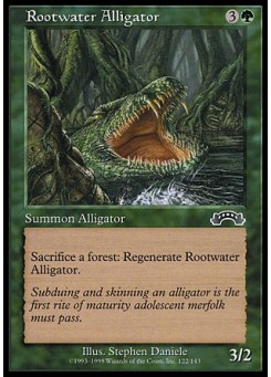 Rootwater Alligator