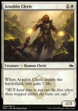 Arashin Cleric
