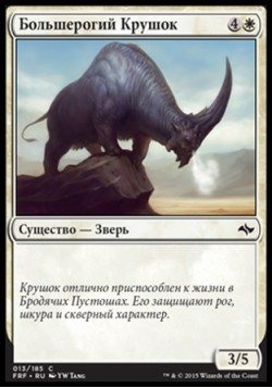 Большерогий Крушок