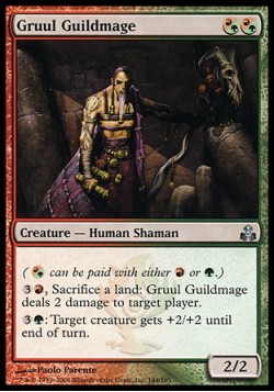 Маг гильдии Груулов