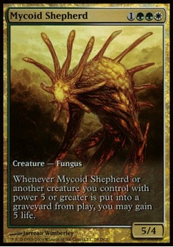 Mycoid Shepherd