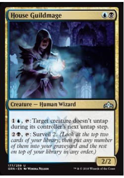 House Guildmage