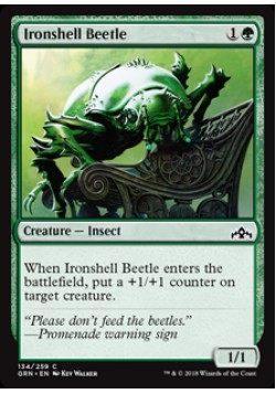 Ironshell Beetle