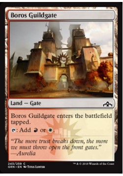 Boros Guildgate (243)
