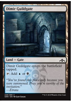Dimir Guildgate (246)