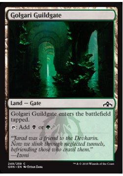 Golgari Guildgate (249)