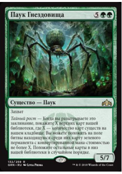 Паук Гнездовища