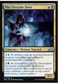 Маг Гильдии Дома