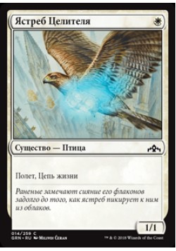 Ястреб Целителя