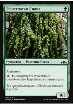 Решетчатая Лиана