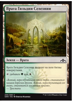 Врата Гильдии Селезнии (255)