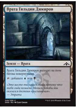 Врата Гильдии Димиров (246)