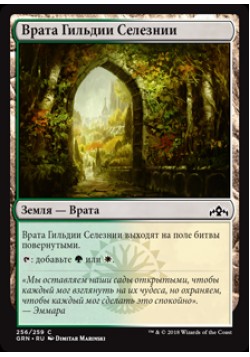 Врата Гильдии Селезнии (256)