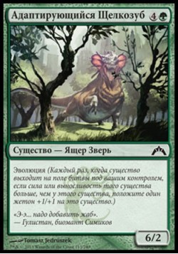 Адаптирующийся Щелкозуб