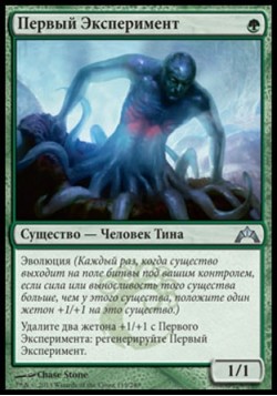 Первый Эксперимент