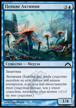 Цепкие Актинии