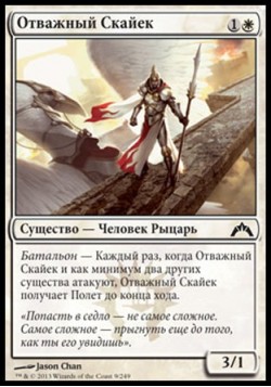 Отважный Скайек