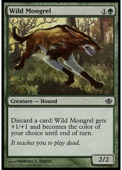 Wild Mongrel