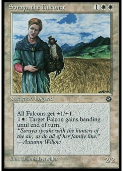 Soraya the Falconer