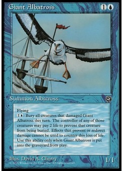 Giant Albatross (A)