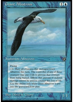Giant Albatross (B)