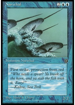 Narwhal