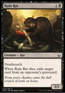 Ruin Rat