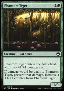 Phantom Tiger