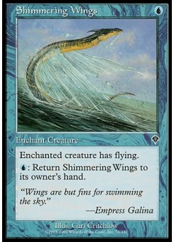 Shimmering Wings