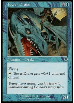 Tower Drake