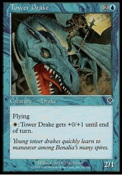 Tower Drake