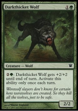 Darkthicket Wolf