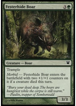 Festerhide Boar