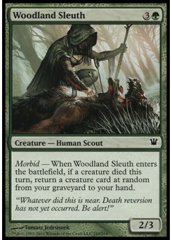 Woodland Sleuth