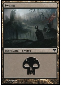 Swamp