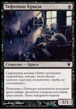 Тифозные Крысы