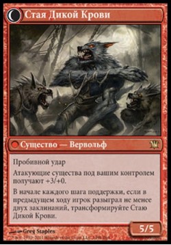 Стая Дикой Крови