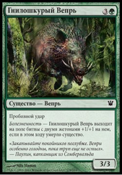 Гнилошкурый Вепрь