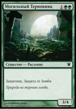 Могильный Терновник