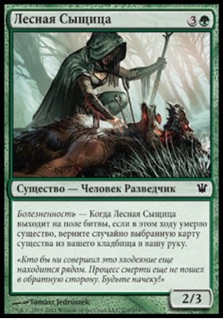 Лесная Сыщица