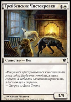 Трейбенские Чистокровки