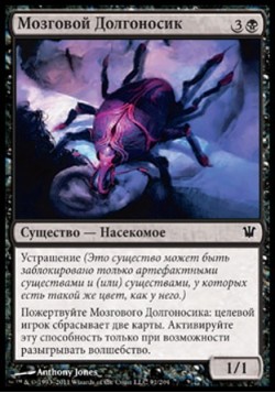 Мозговой Долгоносик