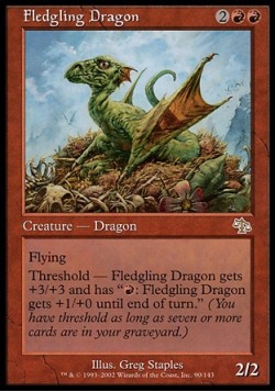 Fledgling Dragon