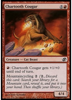 Chartooth Cougar