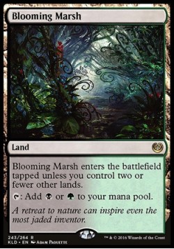 Blooming Marsh