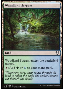 Woodland Stream